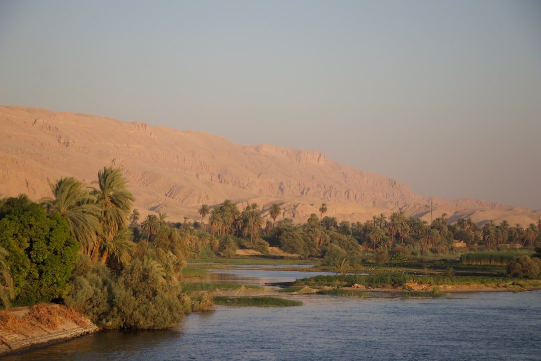 Paisaje del río Nilo rodeado de palmeras